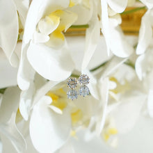 Load image into Gallery viewer, 【Stud Earrings】7MM Delicate Claw Gold-Plated Zircon Earrings, Sparkling Daily &amp; Party Jewelry for Women
