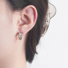 Load image into Gallery viewer, 【Hoop Earrings】Zircon - Inlaid Geometric Earrings, Stylish &amp; Exquisite, Perfect for Ladies Daily Look
