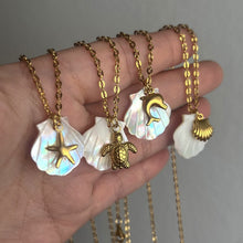 Charger l&#39;image dans la galerie, Oceanic Charm Necklaces | Titanium Steel Shell &amp; Starfish Motifs for Tropical Elegance